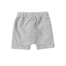 Load image into Gallery viewer, Harem Short - Grey