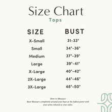 Load image into Gallery viewer, FINAL SALE V-Neck Full Zip Breastfeeding Tee - Gray