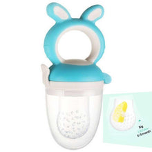 Load image into Gallery viewer, Baby Pacifier Fresh Food Kids Fruit Feeder Nipples Feeding Safe Baby Supplies Nipple Pacifier Holder