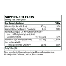 Load image into Gallery viewer, Thorne -Advanced Iron Complex (formerly Ferrasorb)