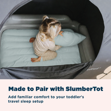 Load image into Gallery viewer, SlumberCloud Toddler Pillow