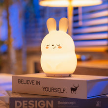 Load image into Gallery viewer, Bonnie the Bunny