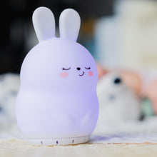 Load image into Gallery viewer, Bonnie the Bunny