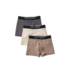 Load image into Gallery viewer, Boxer Brief 3-Pack - Driftwood Mix
