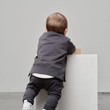 Load image into Gallery viewer, Jogger - Iron