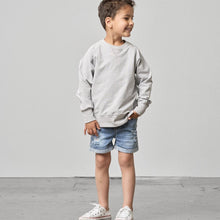 Load image into Gallery viewer, Pullover - Grey