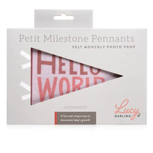 Load image into Gallery viewer, Blushing Meadow Petit Milestone Pennant
