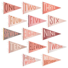 Load image into Gallery viewer, Blushing Meadow Petit Milestone Pennant