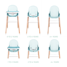 Load image into Gallery viewer, Children of Design 6 in 1 Deluxe High Chair