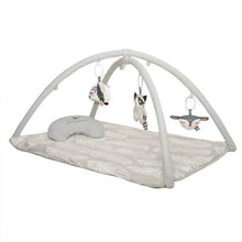 Load image into Gallery viewer, O.B. Designs - Feathers and Forest Toy Set