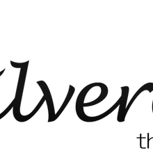 Load image into Gallery viewer, Silverette