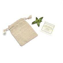 Load image into Gallery viewer, CanyonLeaf Adult: Raw Honey Amber + Rose Quartz || Necklace