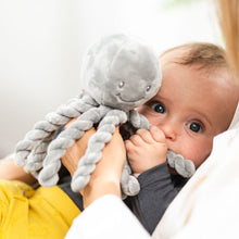 Load image into Gallery viewer, Nattou Cuddly Octopus Lapidou
