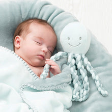 Load image into Gallery viewer, Nattou Cuddly Octopus Lapidou
