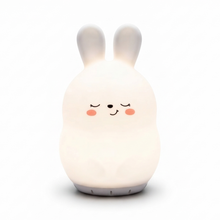Load image into Gallery viewer, Bonnie the Bunny

