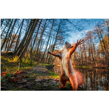Load image into Gallery viewer, Puzzle 1000 Pieces AdultPaper Puzzle For Educational Toys 1000 Pieces New Puzzle World Popular Travel Desitnation  Toy For Children Great for Gift
