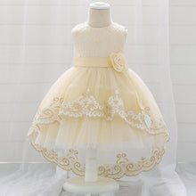 Load image into Gallery viewer, New Baby  Lace  Gown Clothes Embroidered Tail Princess Unique  Dress Perfect Gift For Girls
