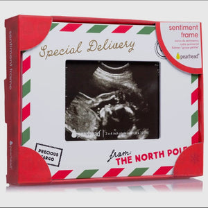 Special Delivery Sonogram Holiday Picture Frame