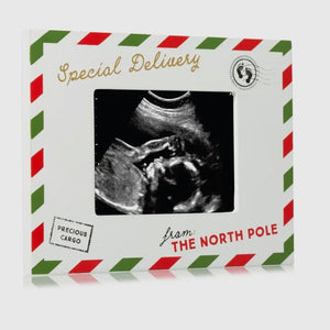 Special Delivery Sonogram Holiday Picture Frame