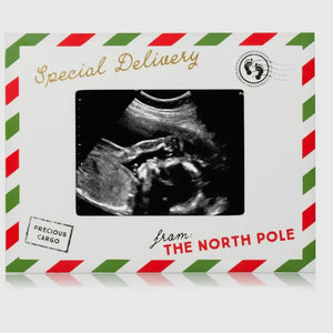 Special Delivery Sonogram Holiday Picture Frame