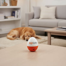 Load image into Gallery viewer, Doggie Shusher Calming Sound Machine
