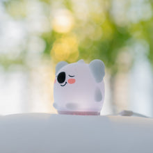 Load image into Gallery viewer, Kyle the Koala
