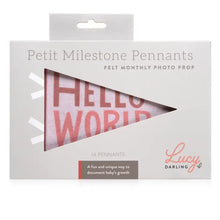 Load image into Gallery viewer, Blushing Meadow Petit Milestone Pennant

