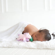 Nookums Paci-Plushies Pacifiers