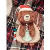 Load image into Gallery viewer, *NEW* Holiday Bear Itzy Lovey™ Plush + Teether Toy
