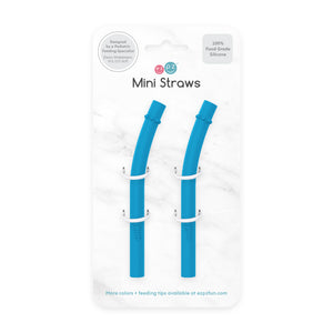 Mini Israeli Straw Mini Straw Replacement Pack (2-count) – The Nest & Company