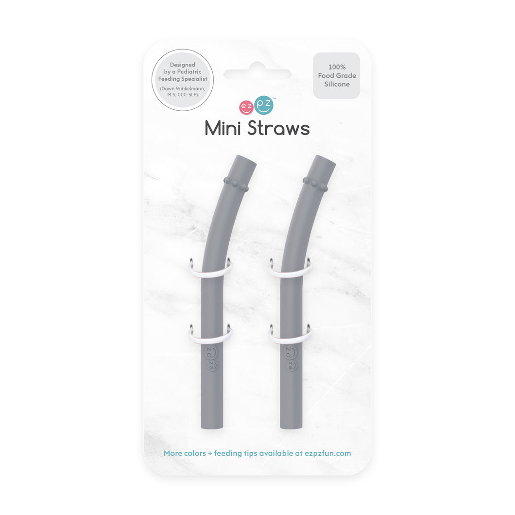 Mini Straw Replacement Pack (2-count)