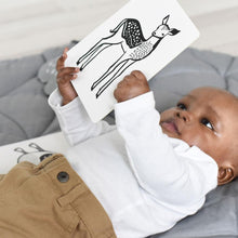 Load image into Gallery viewer, Art Cards for Baby- Pets Collection
